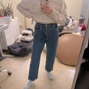 Everlane The Way High Jean 28